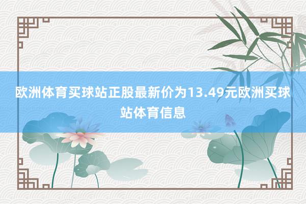 欧洲体育买球站正股最新价为13.49元欧洲买球站体育信息